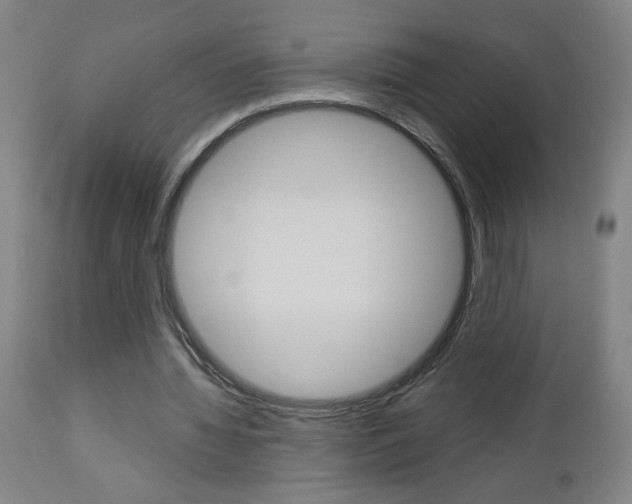 X0000112960436200908270923