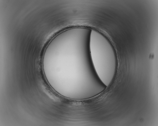 X0000112960439200908270923