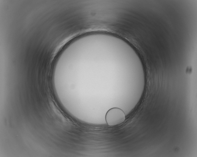 X0000112960440200908270923