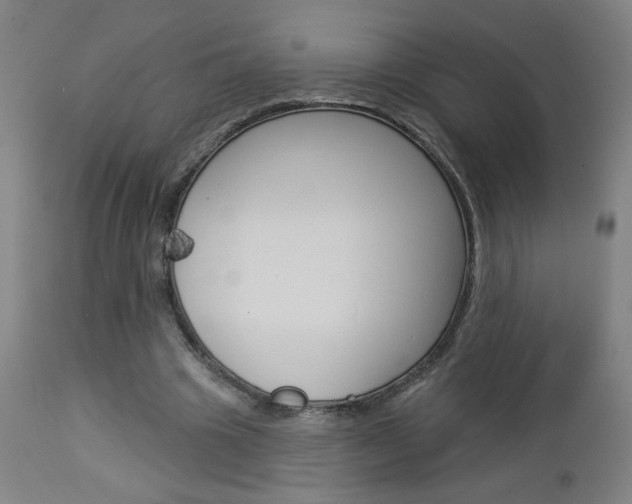 X0000112960441200908270923
