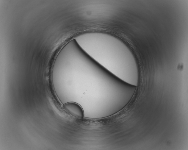 X0000112960443200908270923