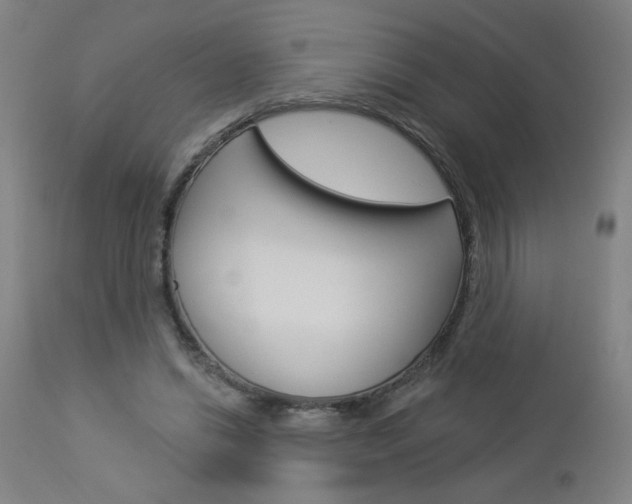 X0000112960446200908270923