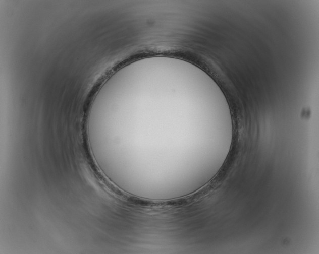 X0000112960447200908270923