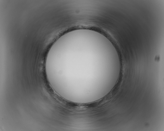 X0000112960451200908270923