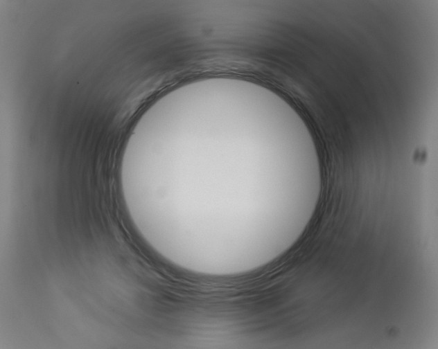 X0000112960452200908270923