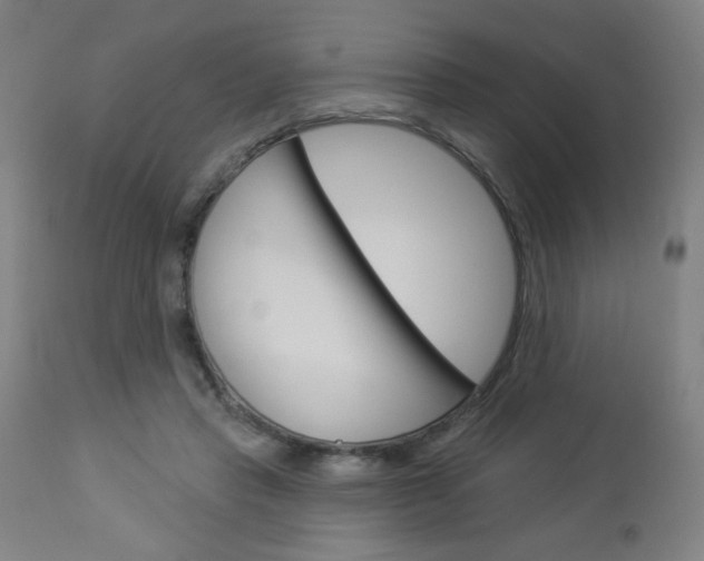 X0000112960453200908270923