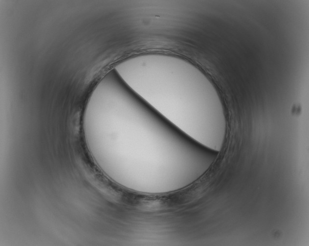 X0000112960454200908270923