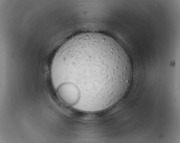 X0000112960459200908270923