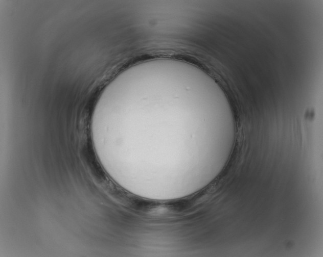 X0000112960460200908270923