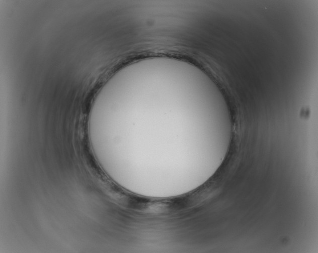 X0000112960462200908270923