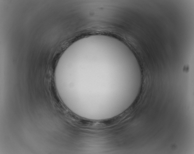 X0000112960463200908270923