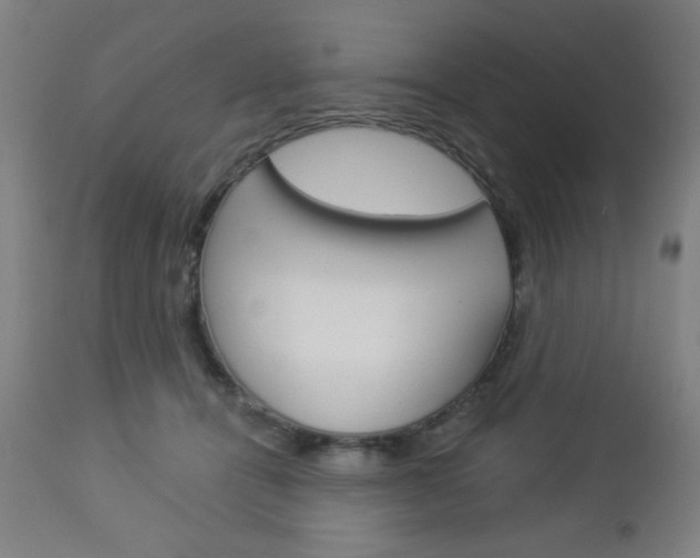 X0000112960464200908270923