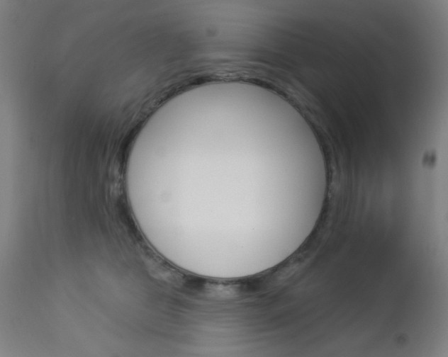 X0000112960469200908270923