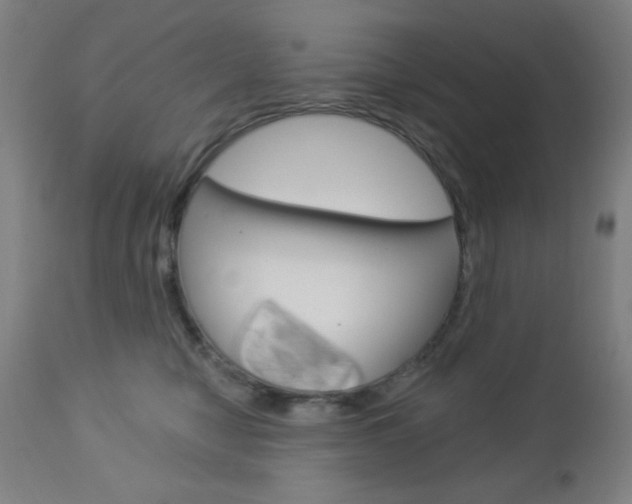 X0000112960470200908270923
