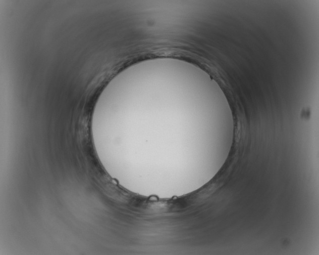 X0000112960473200908270923
