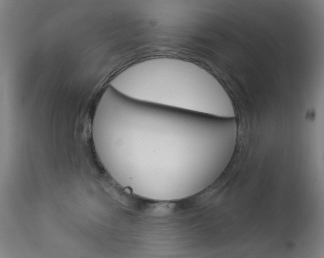 X0000112960474200908270923