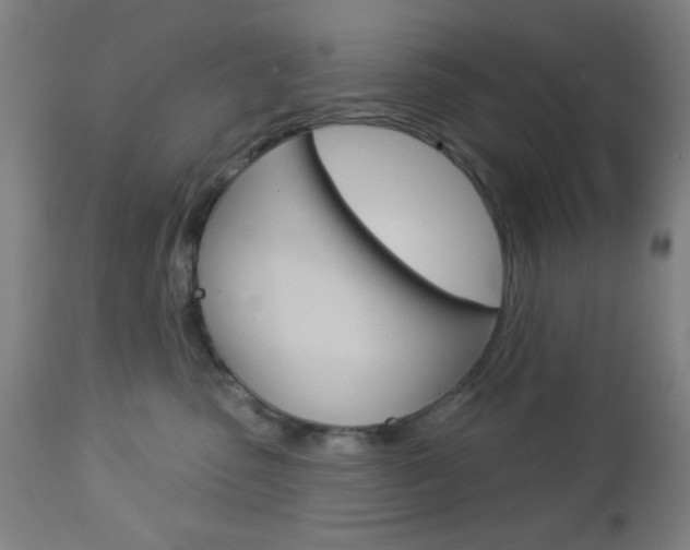 X0000112960475200908270923