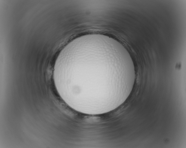 X0000112960476200908270923