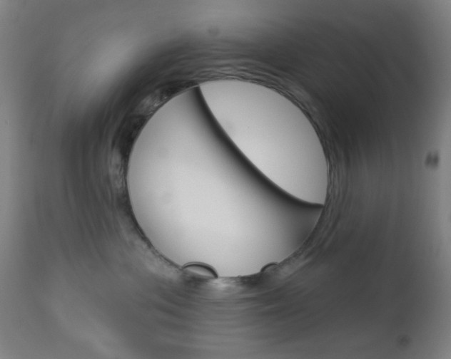 X0000112960477200908270923