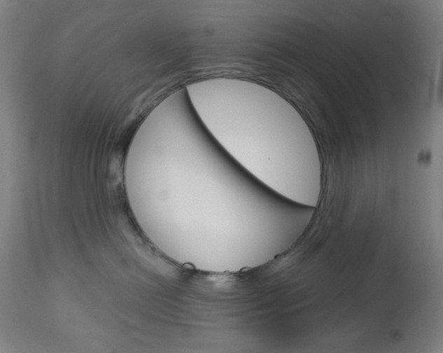 X0000112960478200908270923