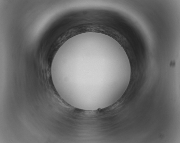 X0000112960479200908270923