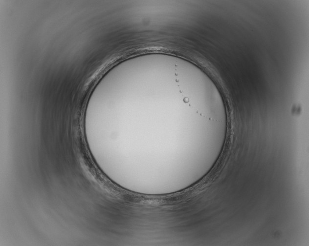 X0000112960482200908270923