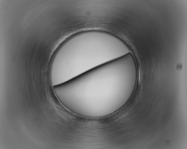 X0000112960483200908270923