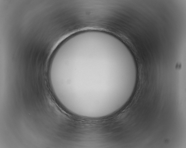 X0000112960484200908270923