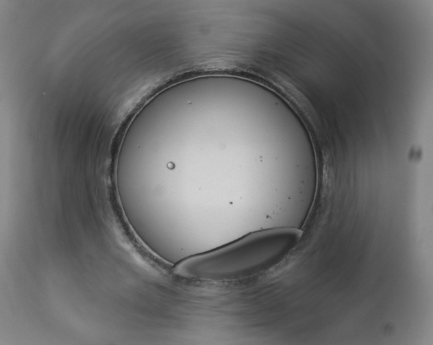 X0000112960485200908270923