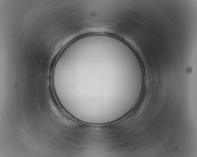 X0000112960486200908270923
