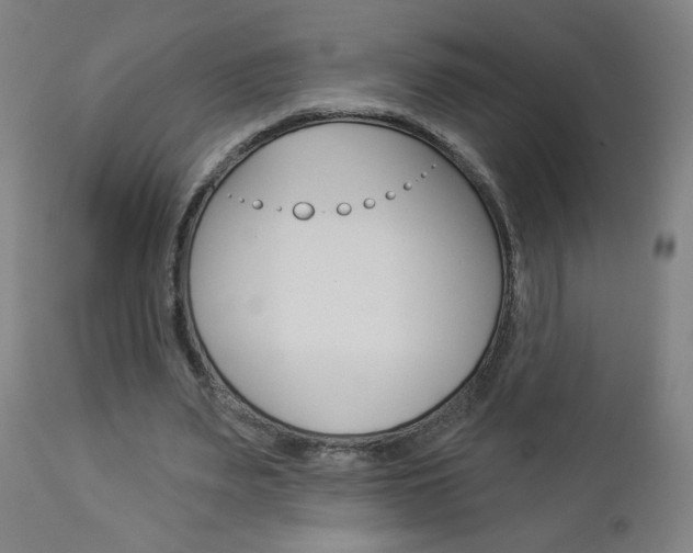 X0000112960487200908270923