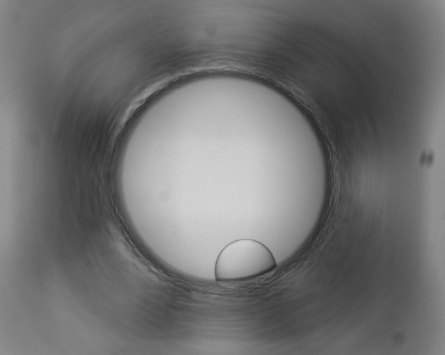 X0000112960488200908270923