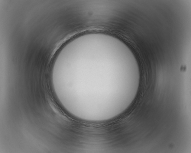 X0000112960492200908270923