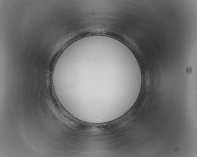 X0000112960494200908270923