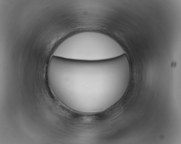 X0000112960495200908270923