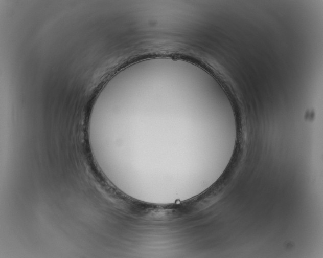 X0000112960497200908270922