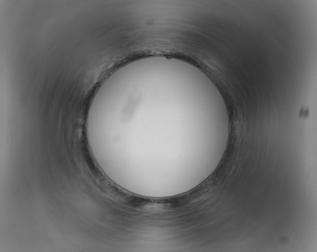 X0000112960499200908270922