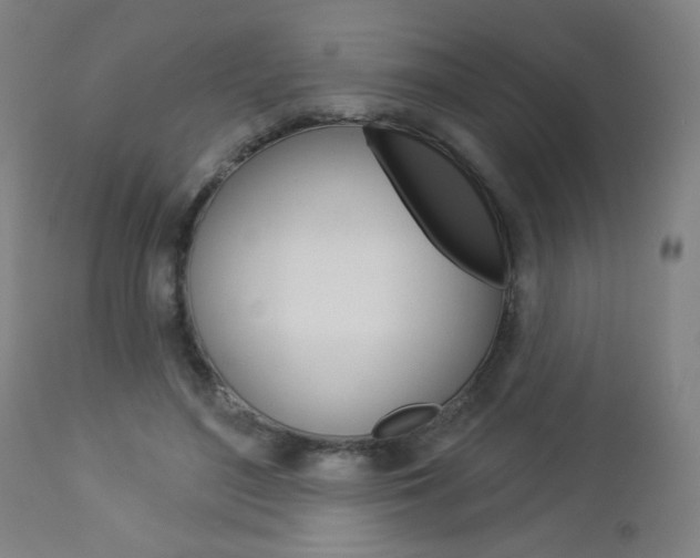 X0000112960500200908270922