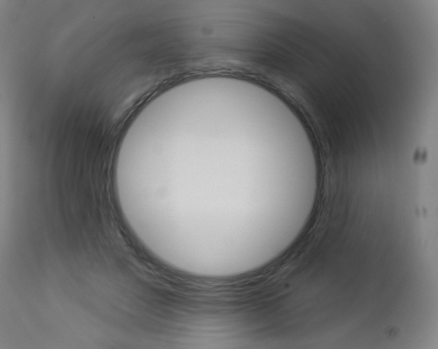 X0000112960501200908270922