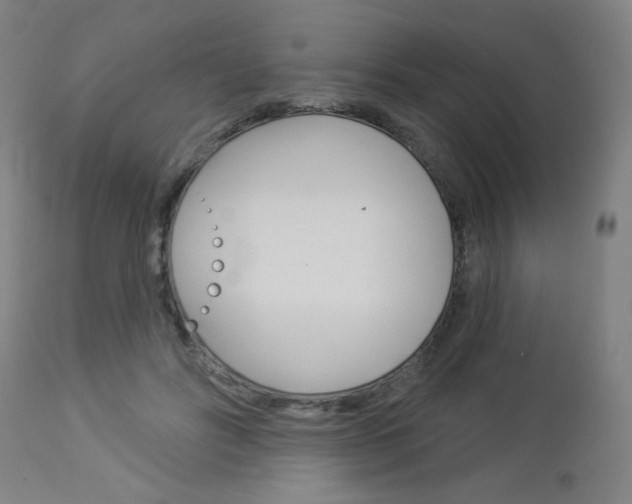 X0000112960502200908270922