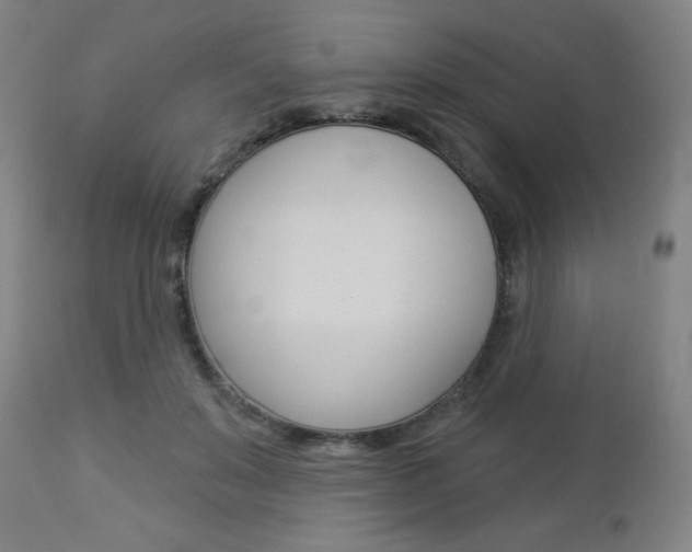X0000112960503200908270922