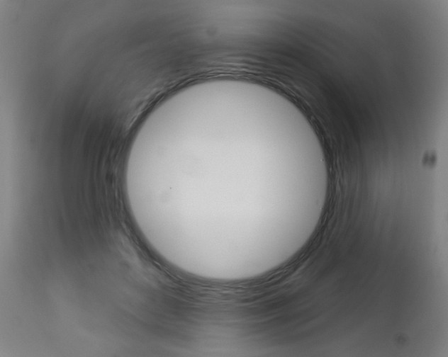X0000112960504200908270922