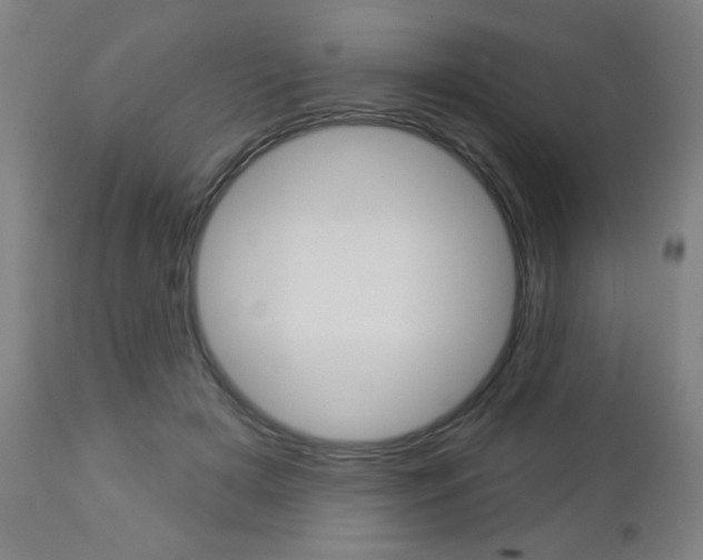 X0000112960505200908270922