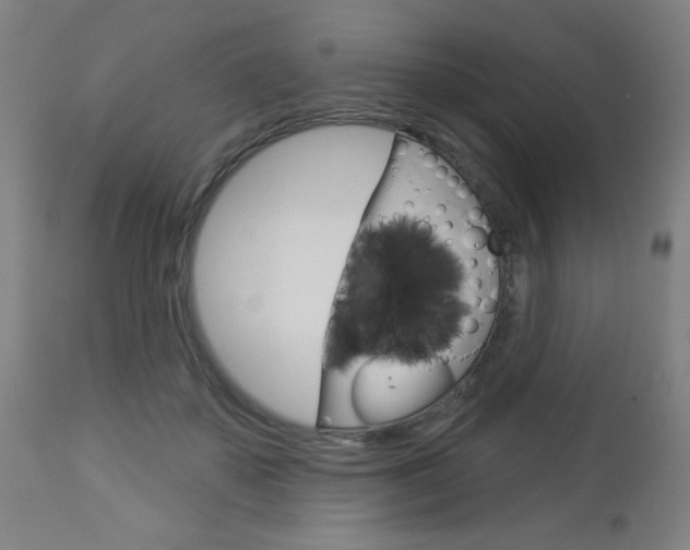 X0000112960507200908270922