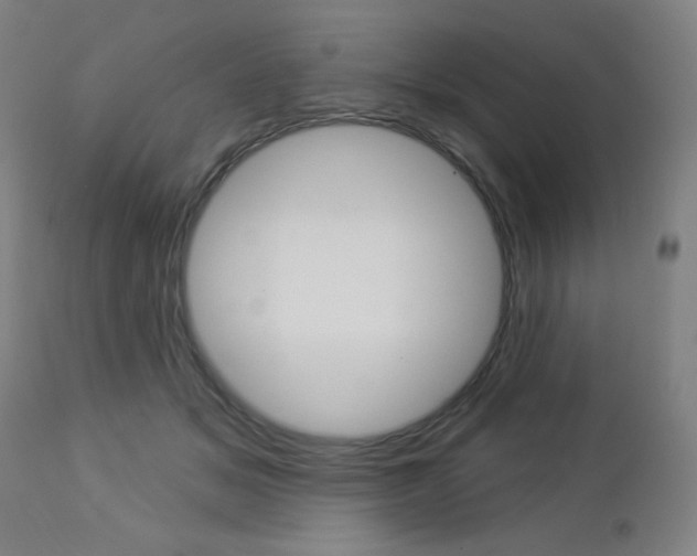 X0000112960509200908270922