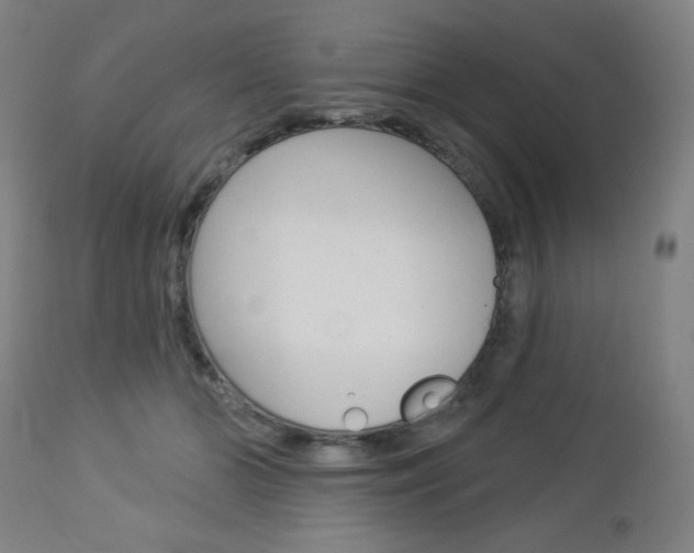 X0000112960510200908270922