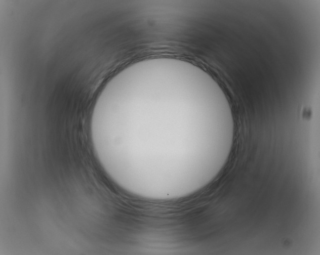 X0000112960512200908270922