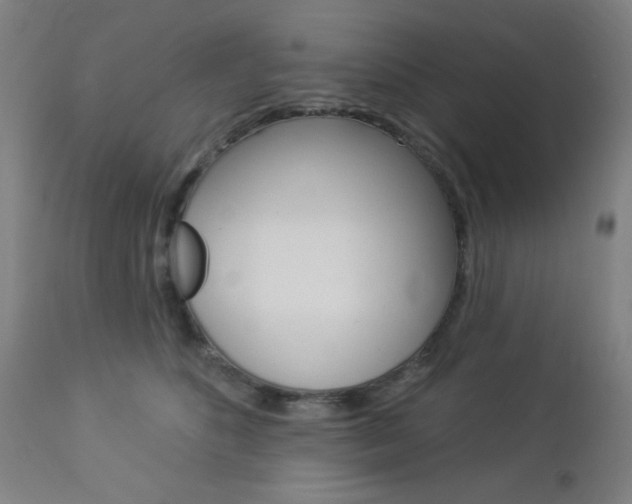 X0000112960516200908270922