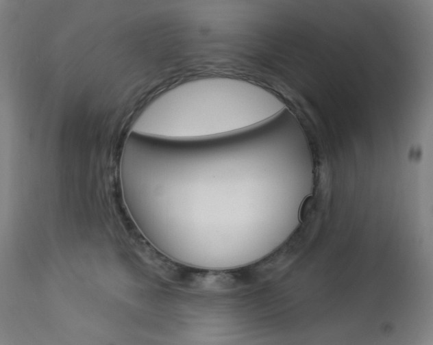 X0000112960517200908270922