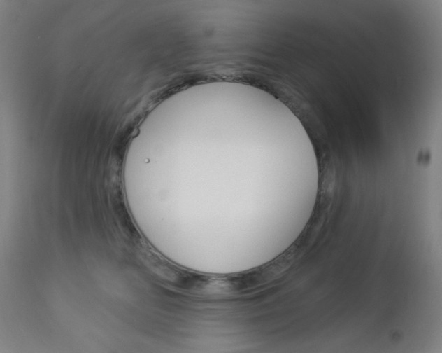 X0000112960518200908270922